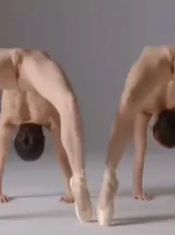 [自行打包] 裸体芭蕾 [1v+11m][百度盘]